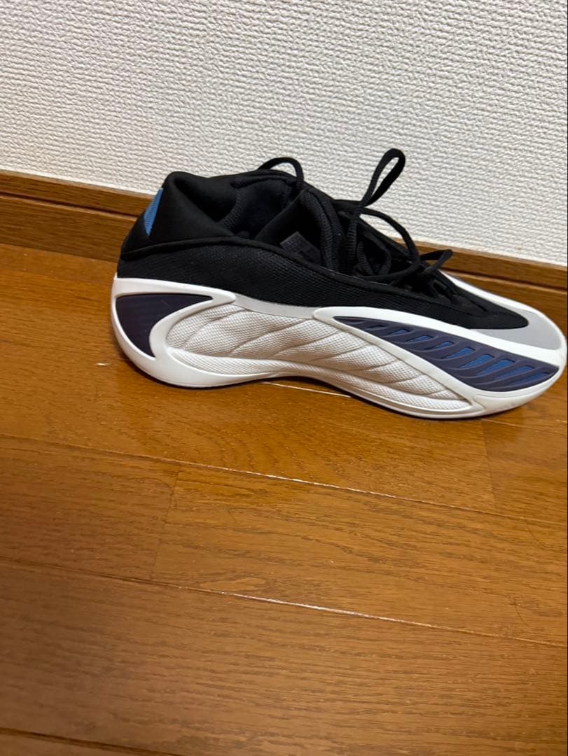シューズ(男性用) AE2