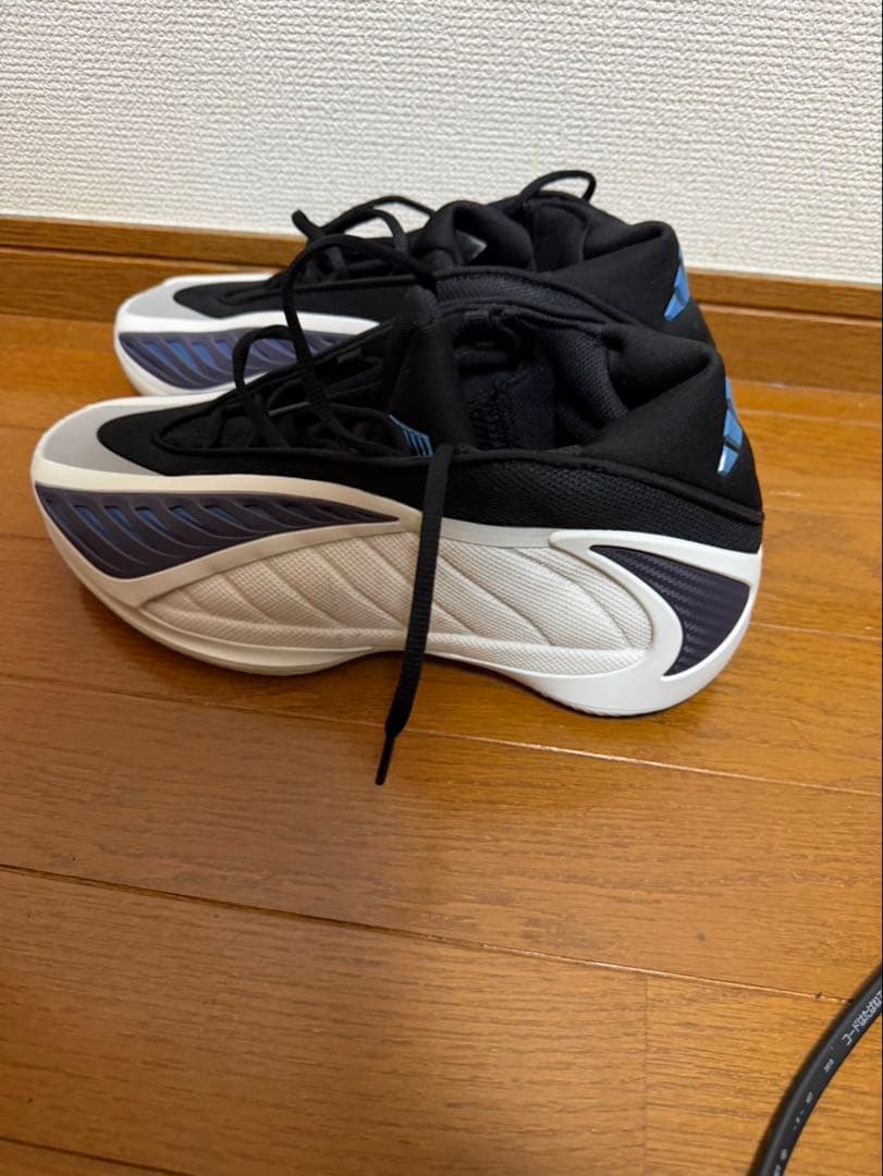 シューズ(男性用) AE2