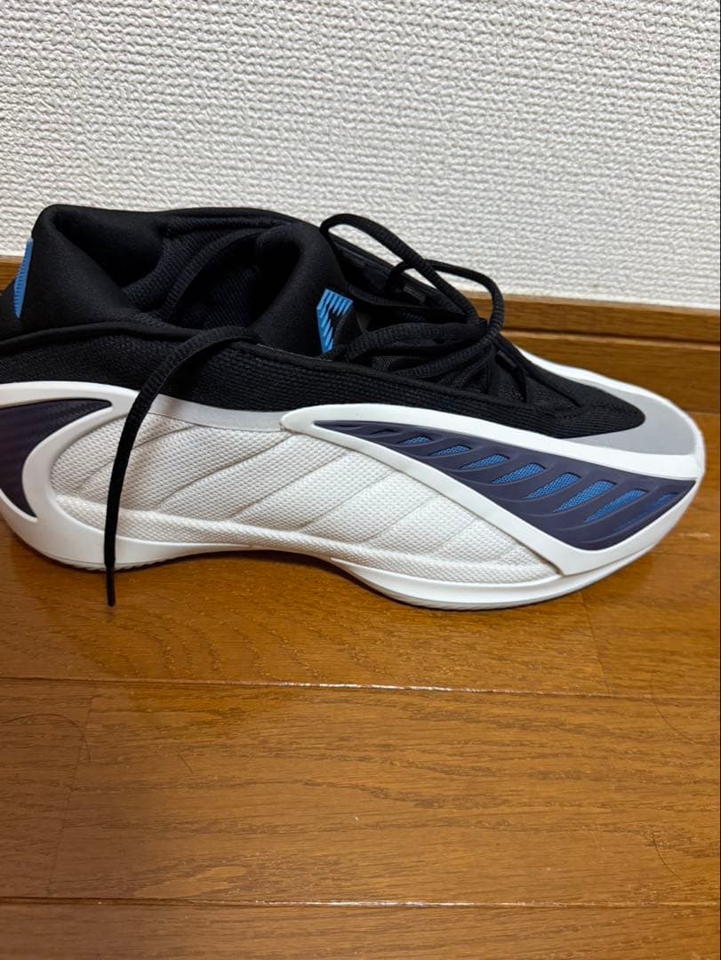 シューズ(男性用) AE2