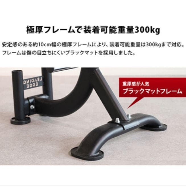 リーディングエッジ　オリンピックプレートラック