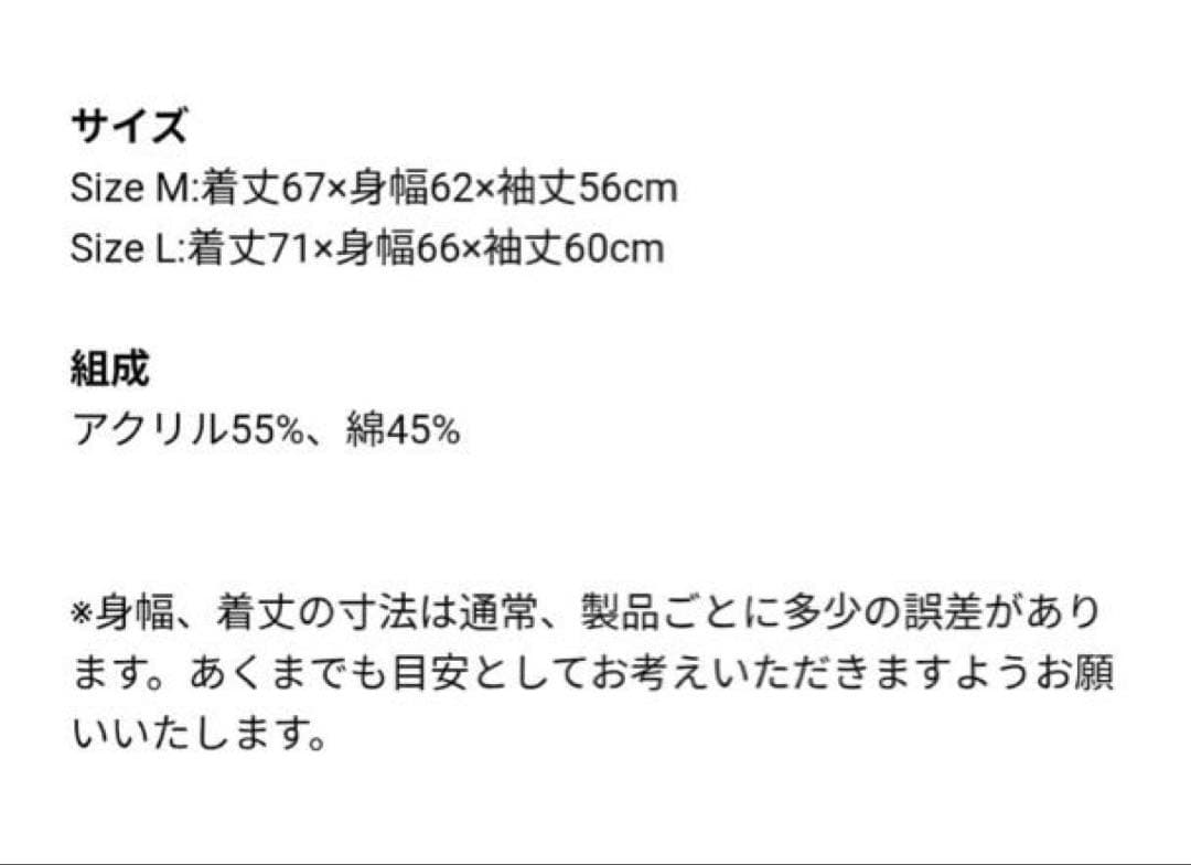 BUMP OF CHICKEN ロゴニット　Lサイズ