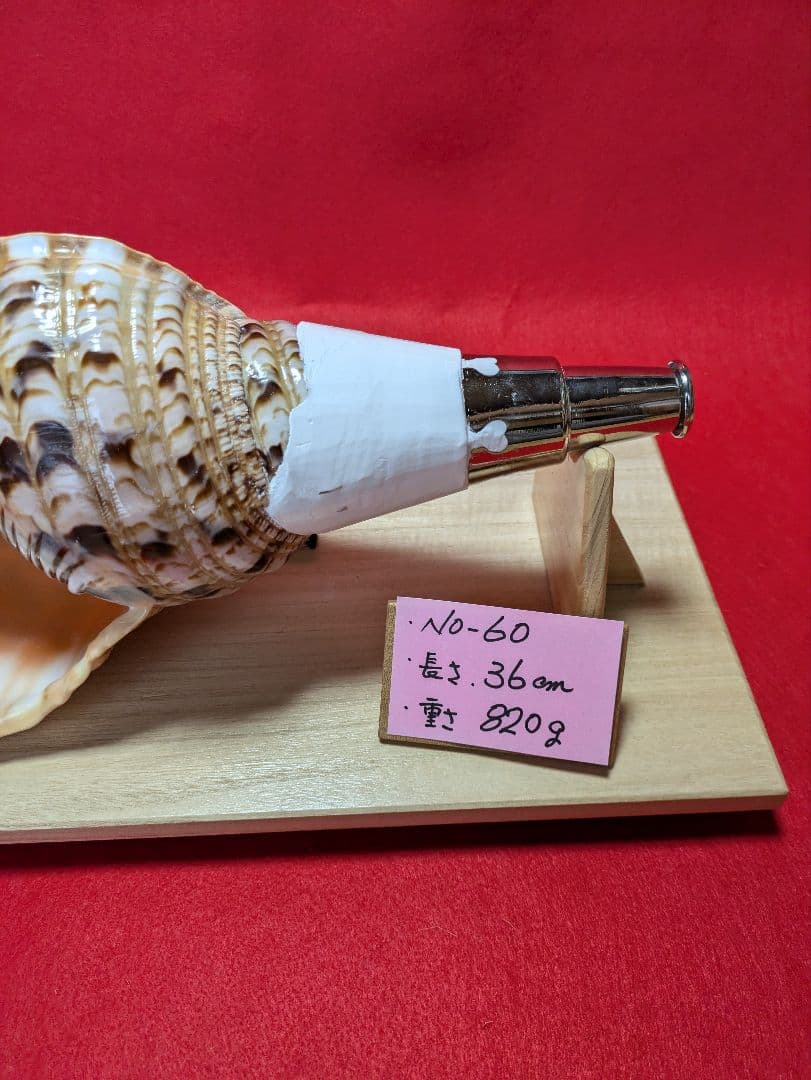 法螺貝ＮＯ−６０ ホラ貝、和楽器、和太鼓、修験道