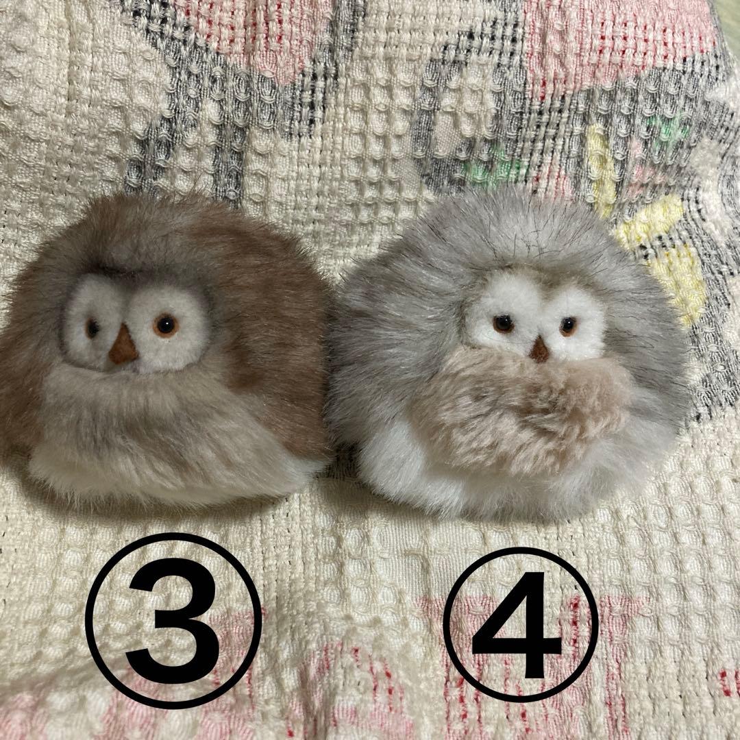 モンスイユ　ルイーズ　ふくろう　ぬいぐるみ　5コセット　バラ売り不可