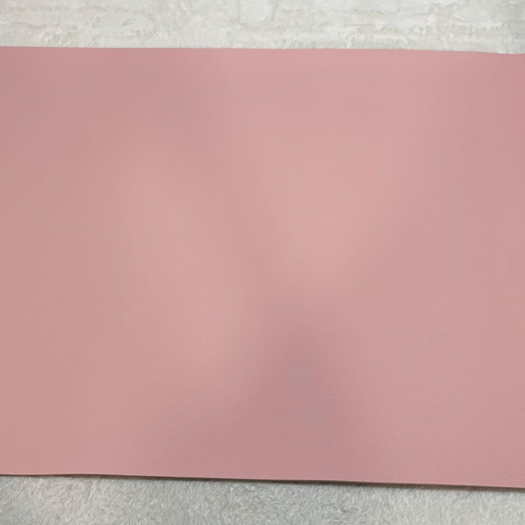SUKALA スカーラ ヨガマット リバーシブル ピンク 収納バッグ付