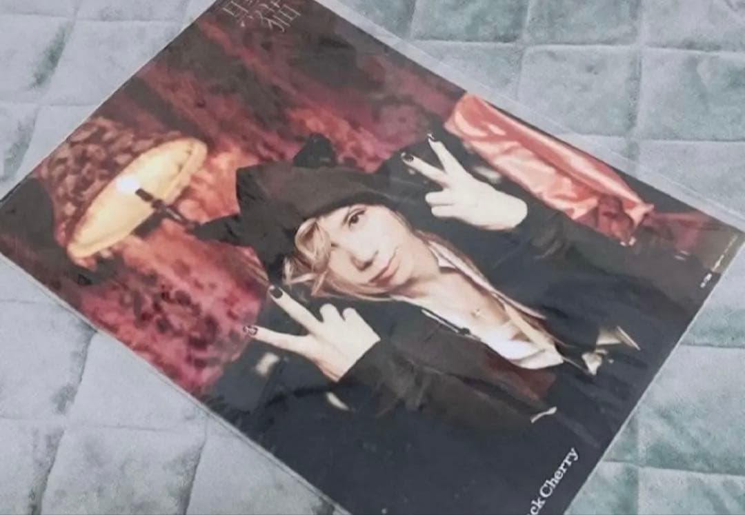 【新品】 Acid Black Cherry クリアポスター / ポスター 3点