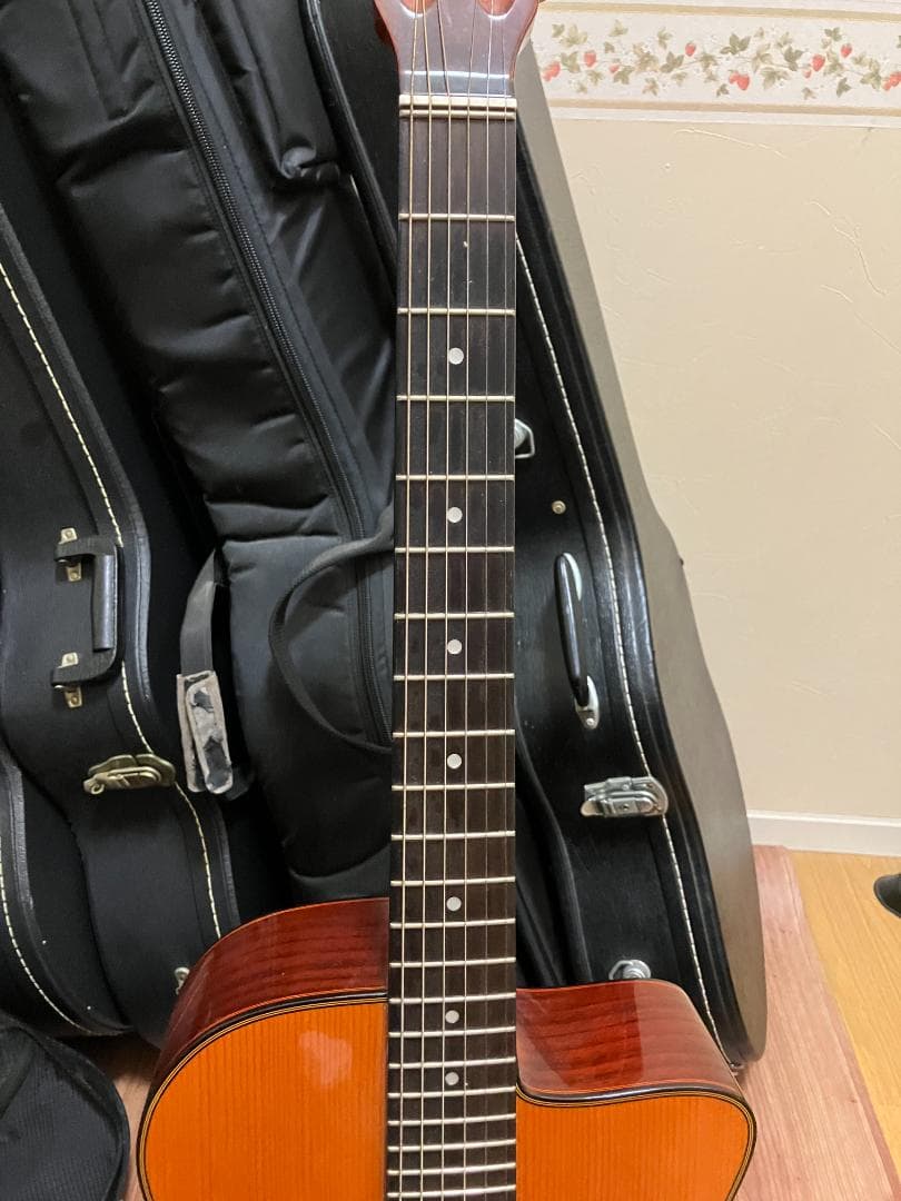 ARIA MM-20 DLX　ジプシージャズ　ギター　ハードケース付属