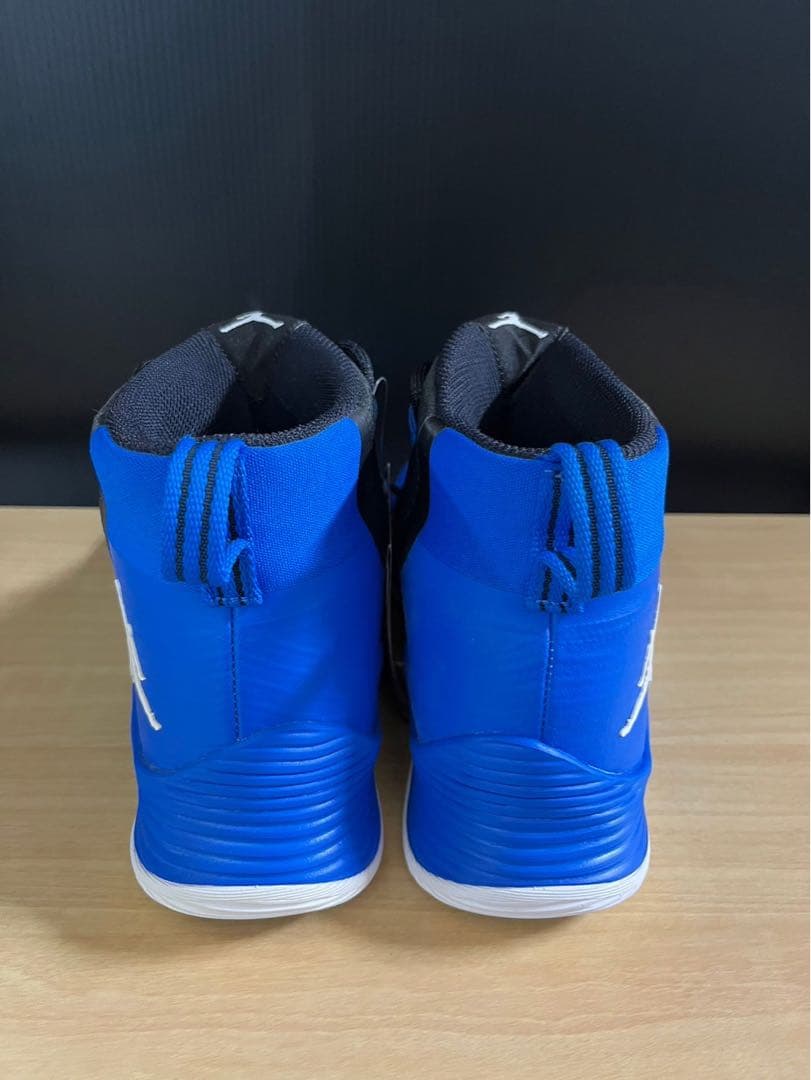 JORDAN ULTRA FLY 2 402カラー　25.0㎝