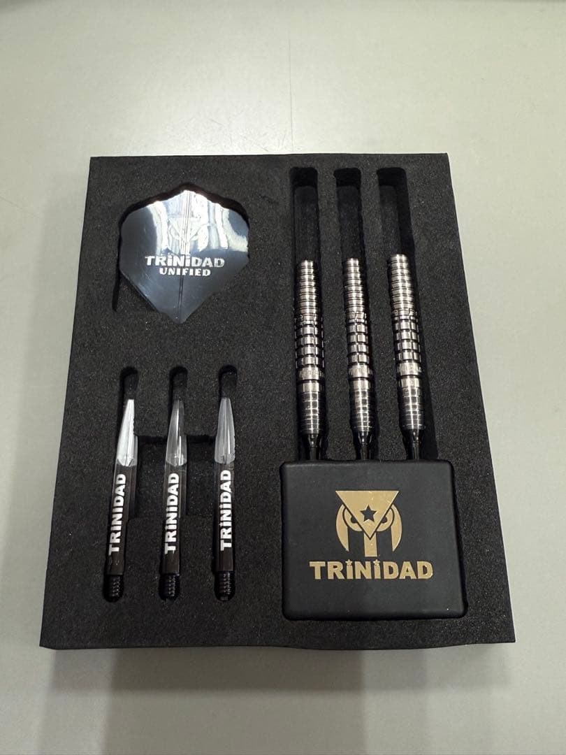 TRINIDAD GONZALEZ TYPE6 ソフトダーツ　中古美品　西哲平