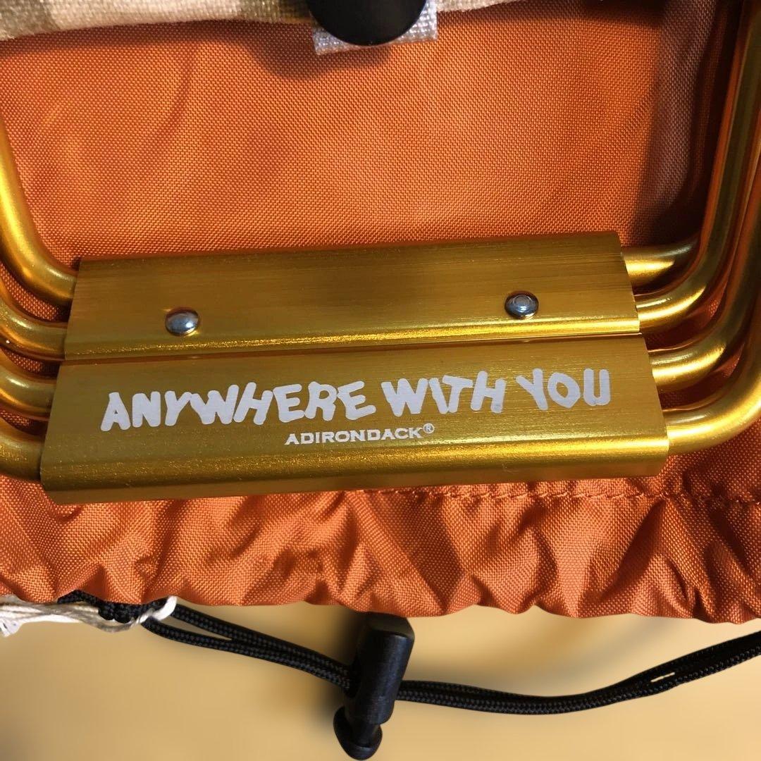 ADIRONDACK x SD MICRO CHAIR マイクロチェア