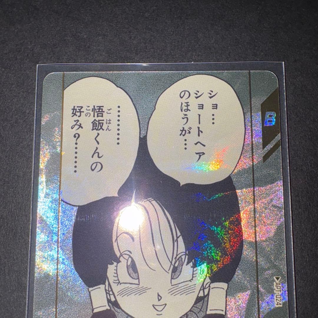 ビーデル APT-024