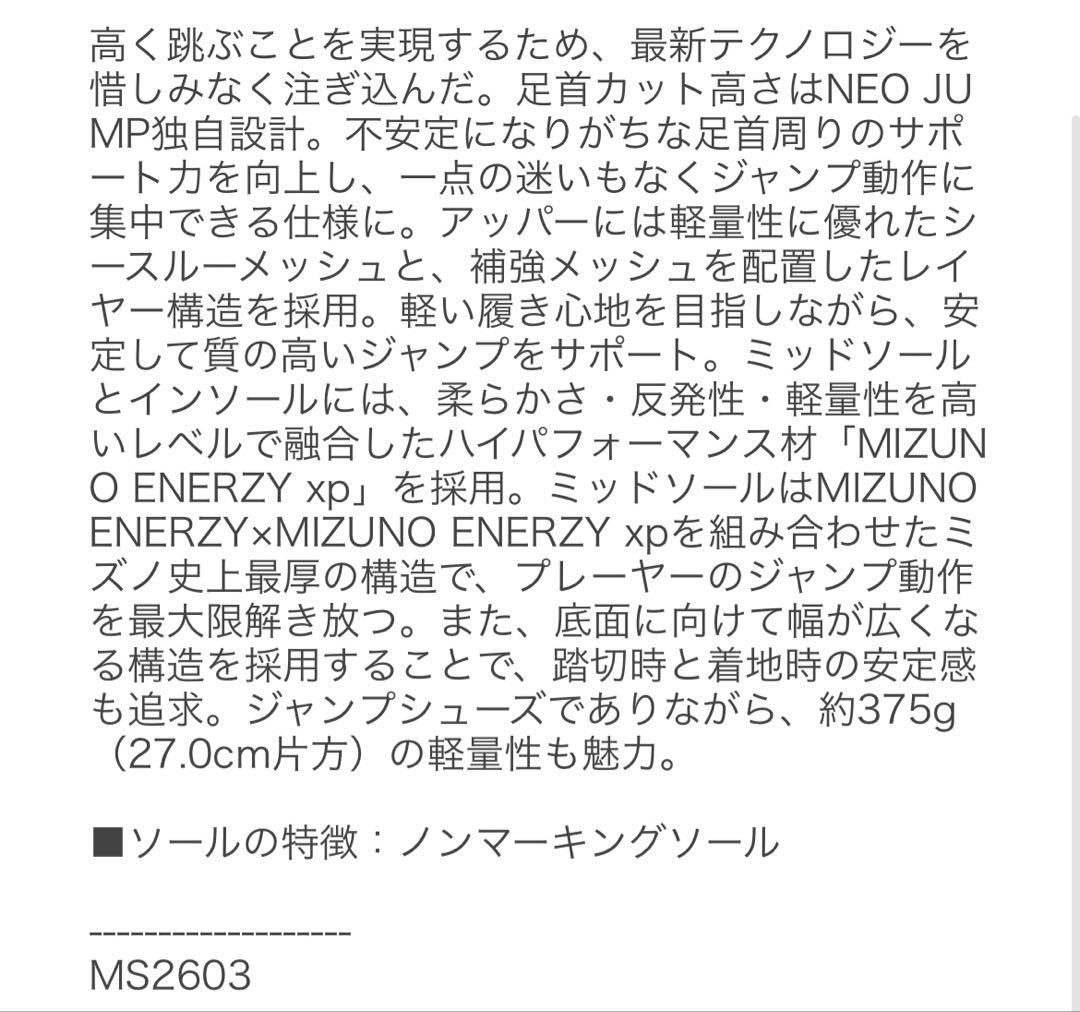 【未使用】値引不可 ミズノネオジャンプ バレーボールシューズ サイズ28.0cm