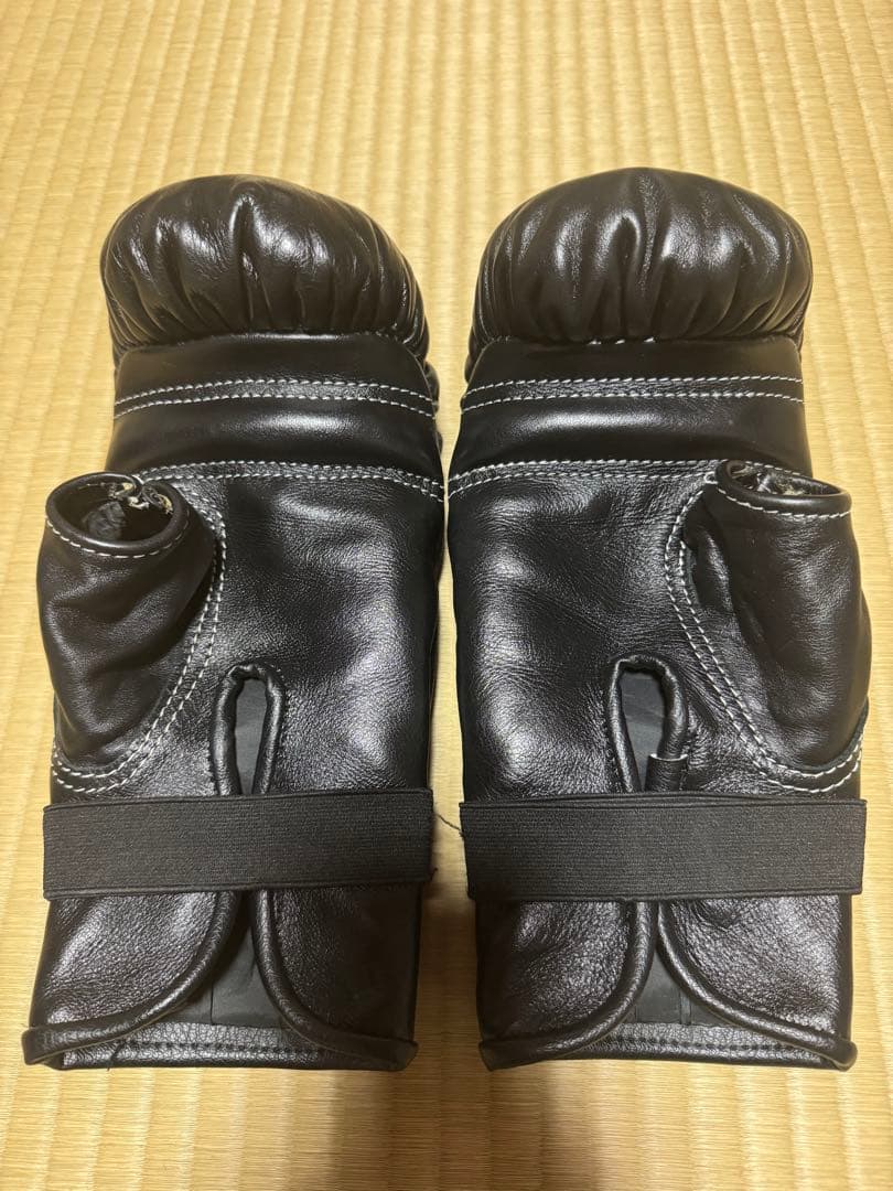 The K キングスポーツ パンチンググローブ バッググローブ K-Bag