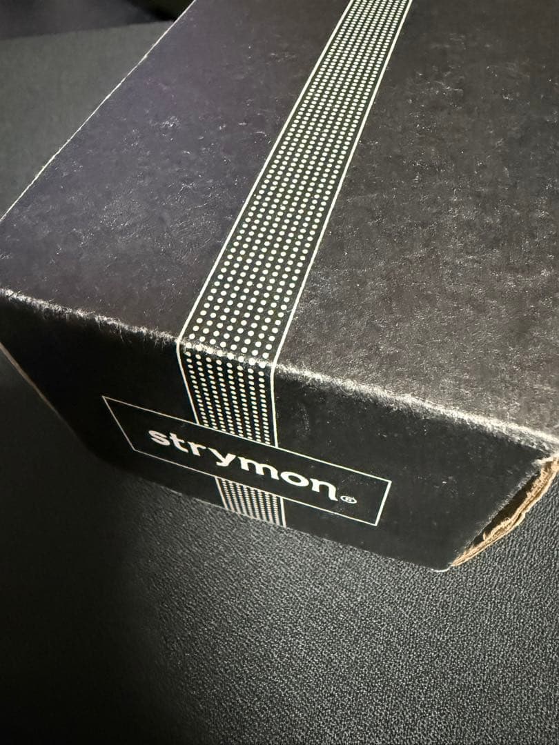 Strymon BRIG delay 正規輸入品