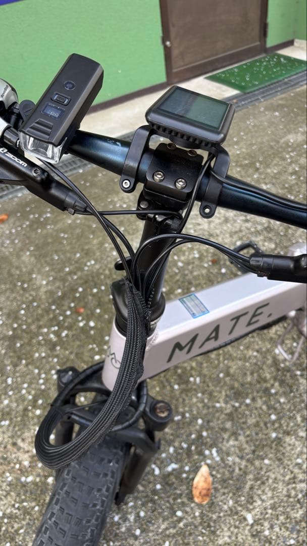 【希少カラー】MATE BIKE X Stering Moss