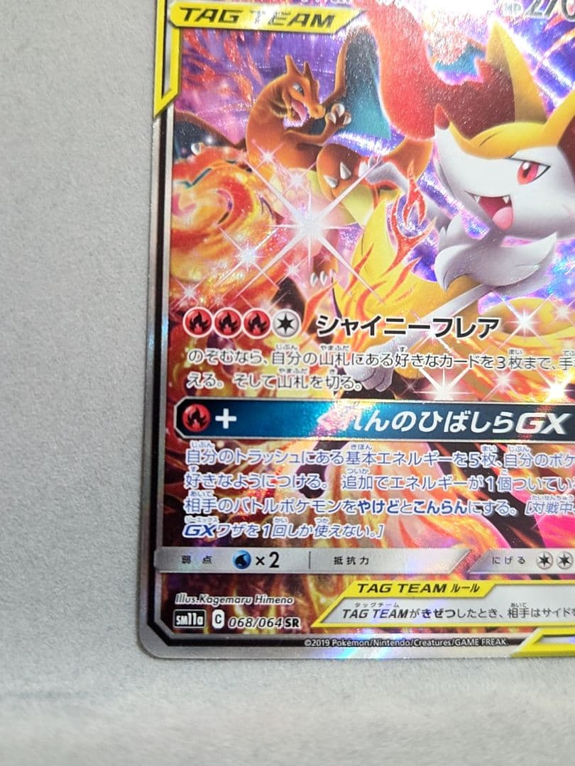 リザードン&テールナー GX SA
