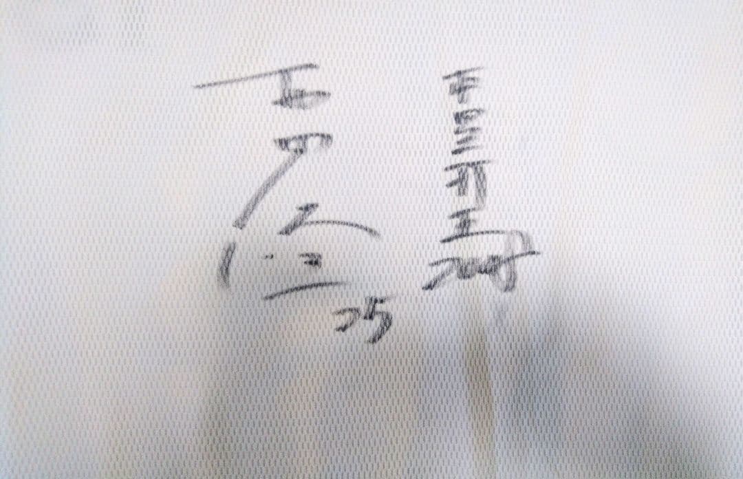 【選手 支給品】DeNA ベイスターズ 那須野 練習用 ユニフォーム シャツ