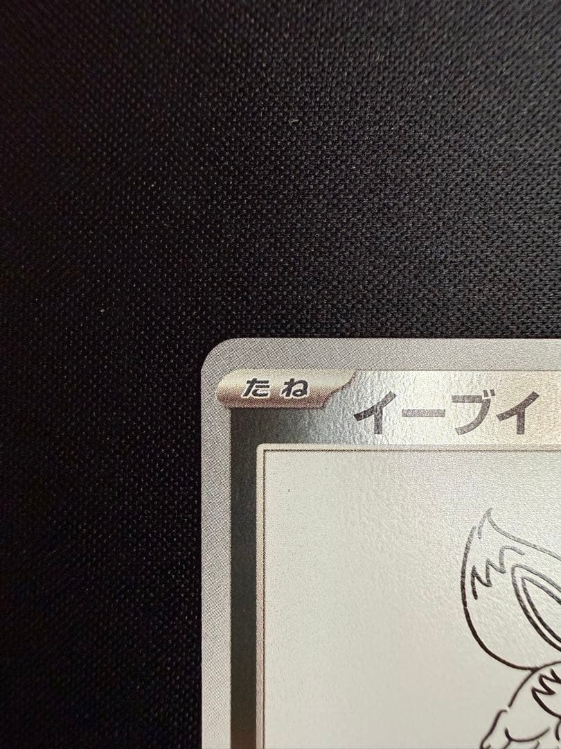 【極美品】nagaba イーブイ プロモ
