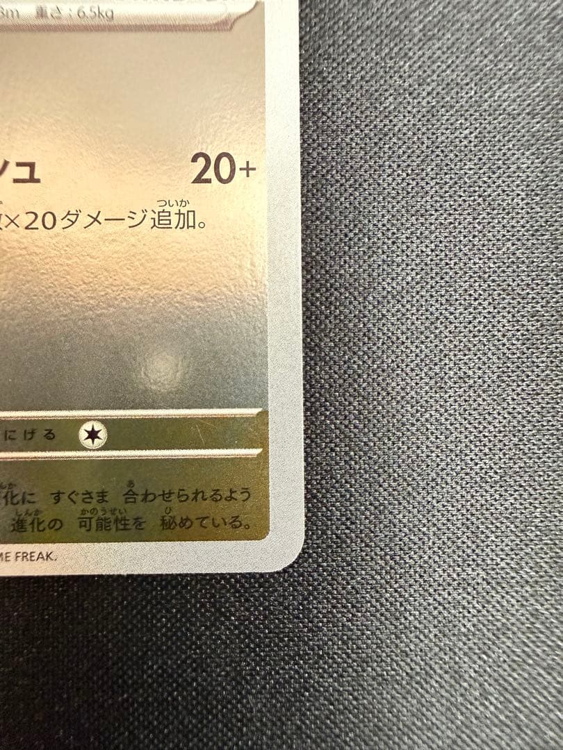【極美品】nagaba イーブイ プロモ