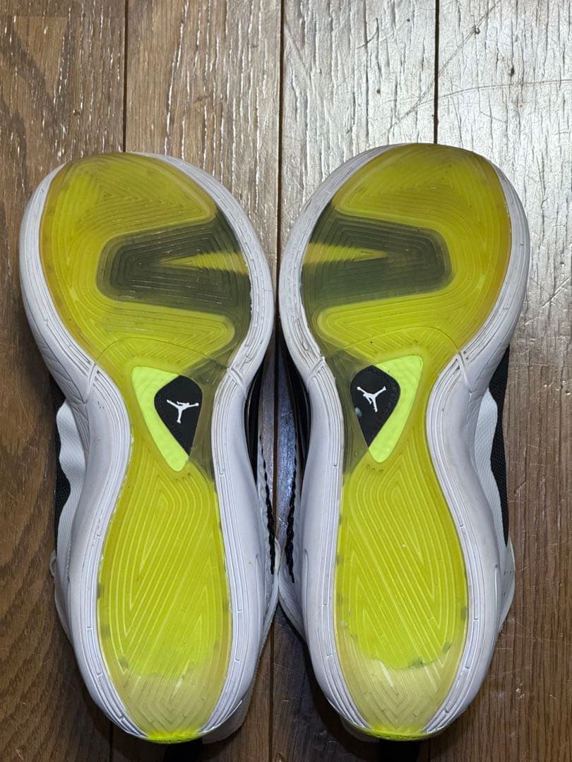Jordan Luka 1 ルカ1 27.5cm