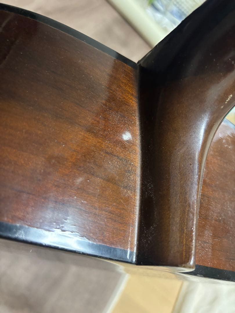 Morris & Co. アコースティックギター W 50 H