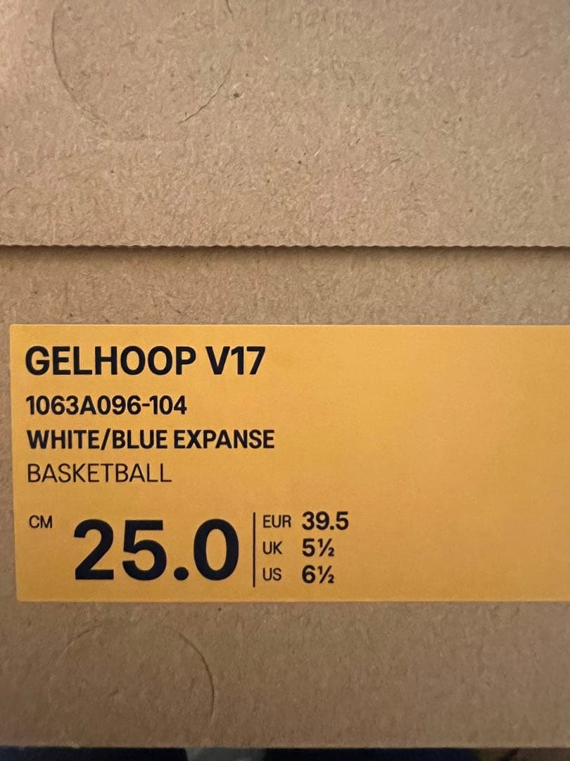 ASICS GELHOOP V17 25.0cm ホワイト/ブルー