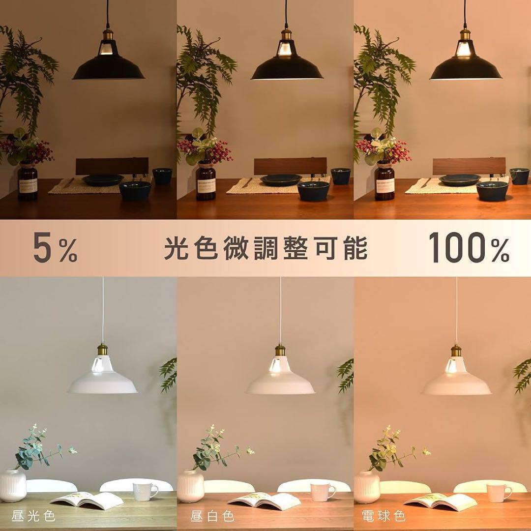 ペンダントライト リモコン式 LED電球付き E26