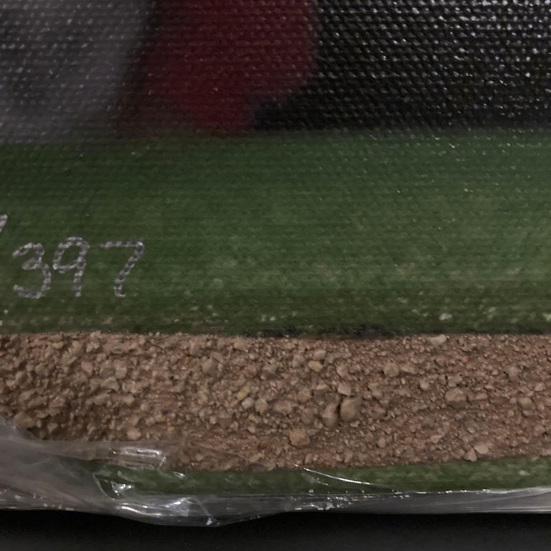 大谷翔平 キャンバスアート エンゼルス 実使用397シリ ホームラン