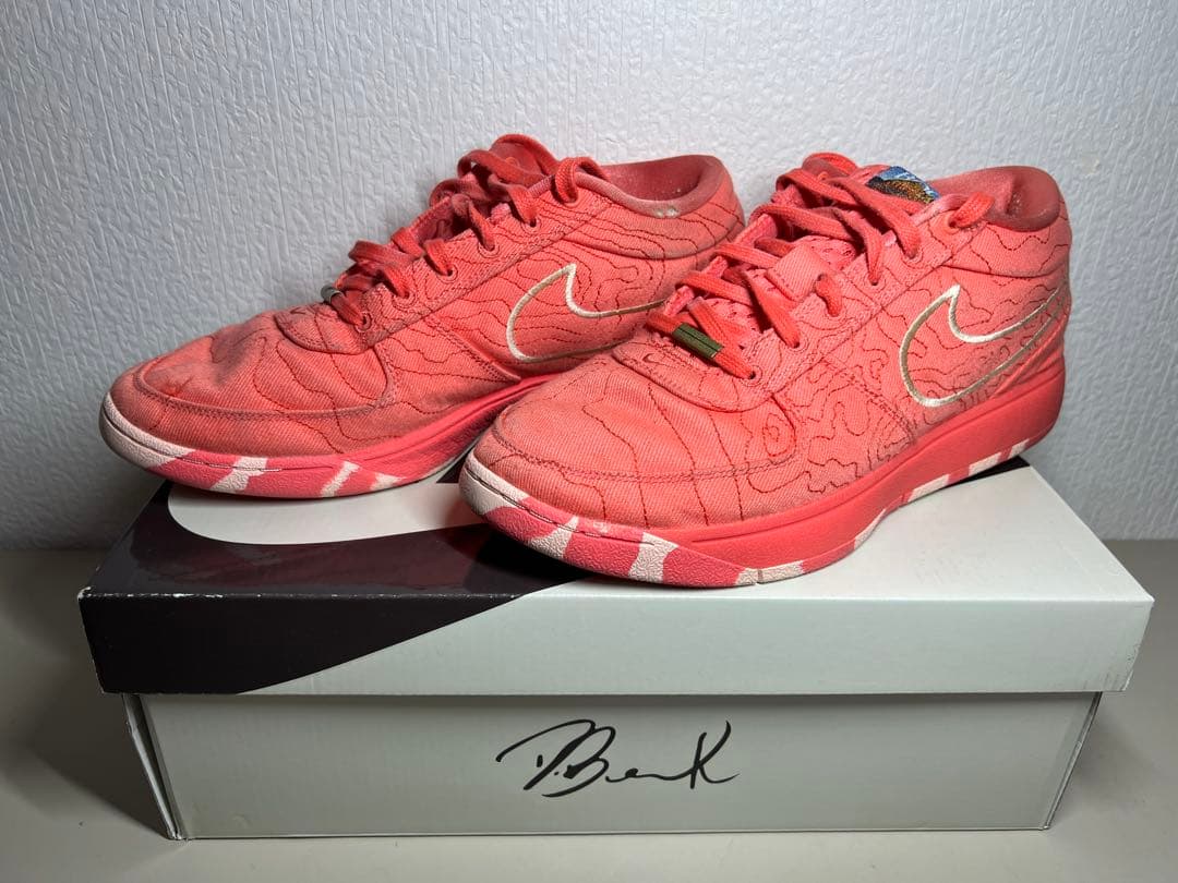 NIKE BOOK1 29cm※早い者勝ち値下げ可✨