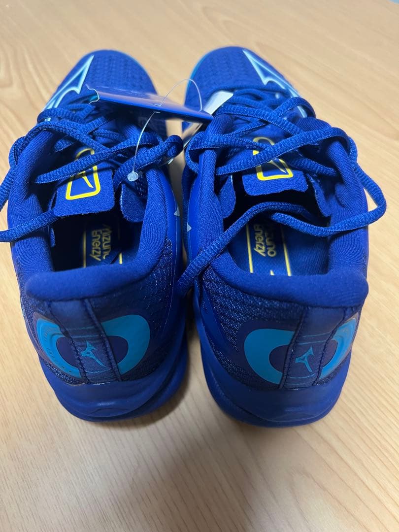Mizuno テニスシューズ ネイビー 24.5cm 男女兼用