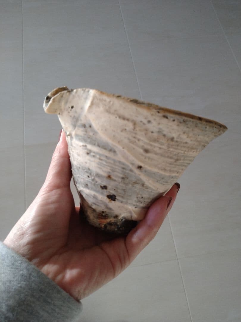 大隅新　片口