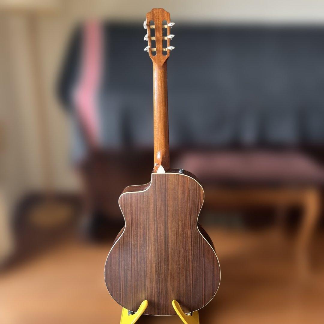 ギター taylor 214ce-n