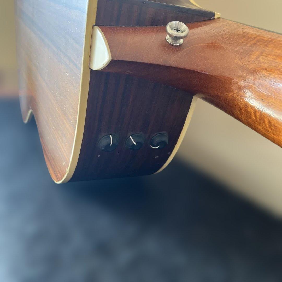 ギター taylor 214ce-n
