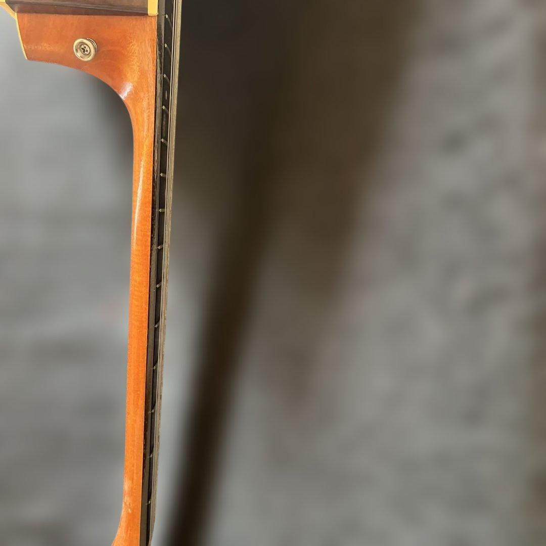 ギター taylor 214ce-n
