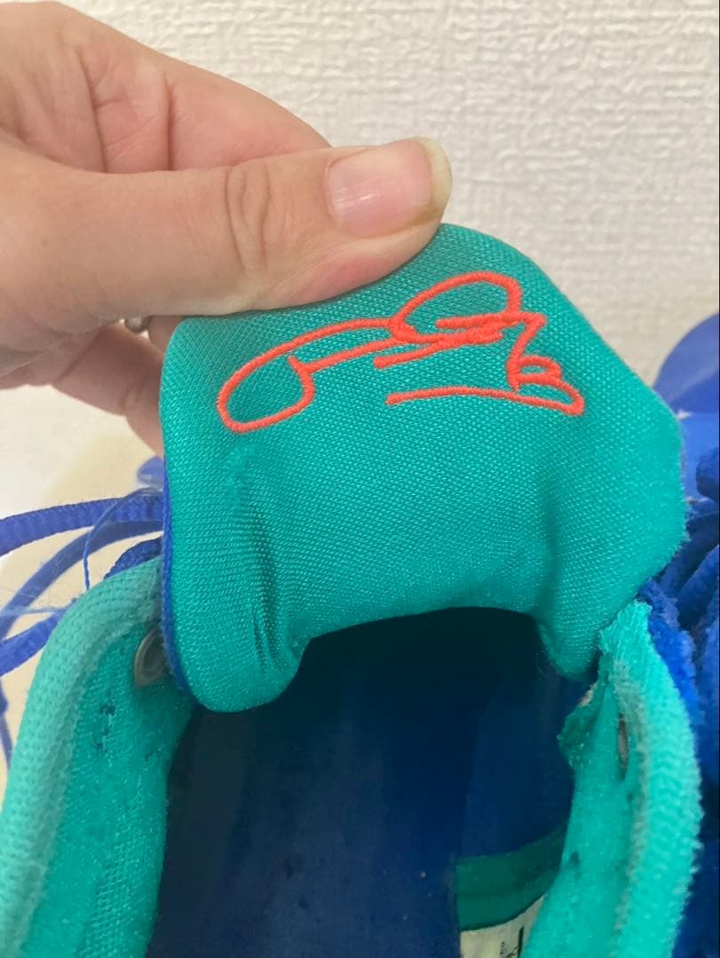 【大人気】　NIKE pg2.5 ep ポールジョージ　NBA バッシュ