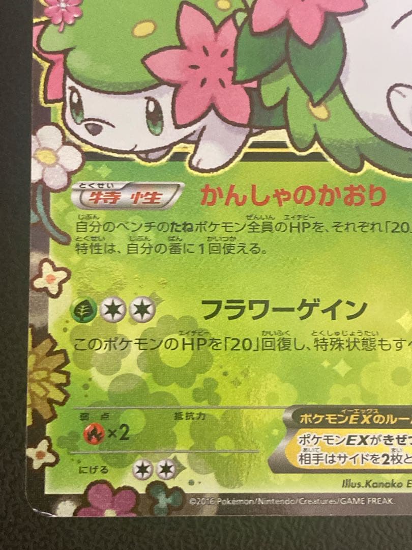シェイミEX プロモ ポケキュンコレクション プレミアムポケキュンセット
