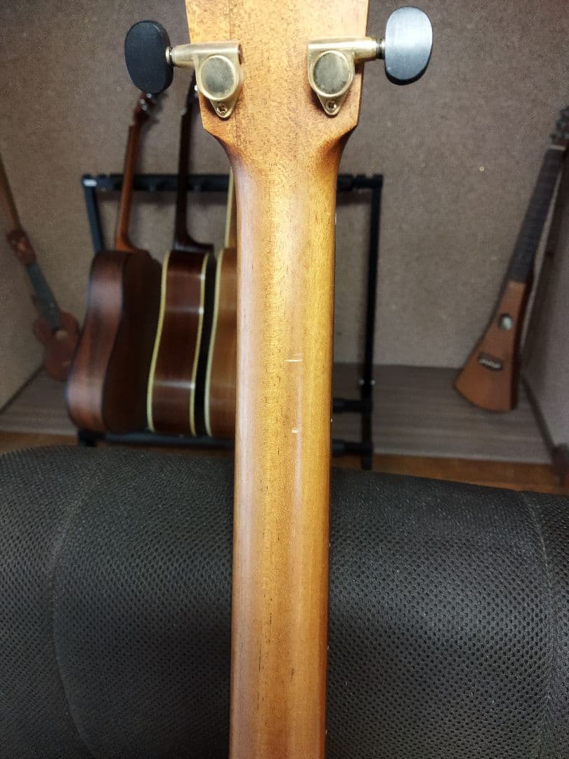 Badenベーデン メープル Taylor元副社長のブランド