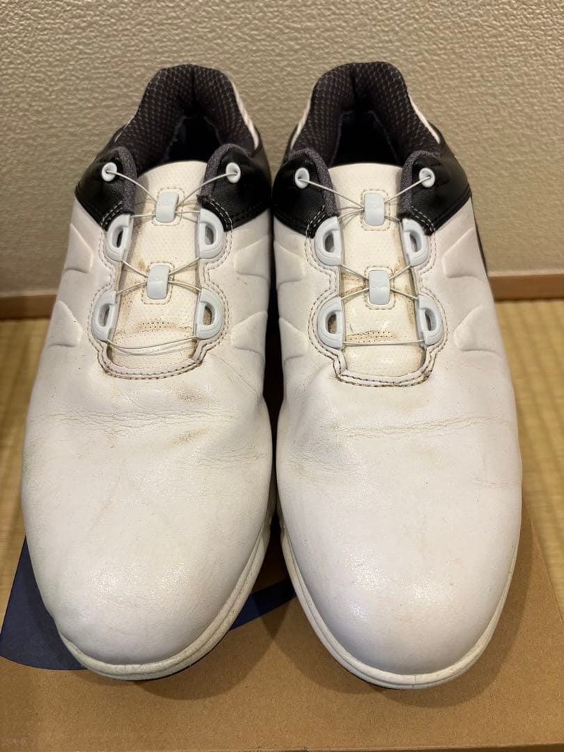 FootJoy フットジョイ ARC XT Boa ゴルフシューズ