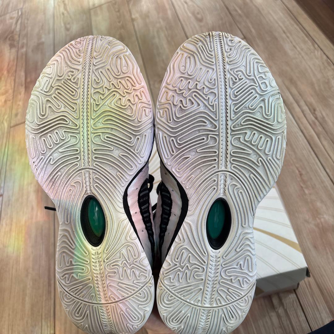 NIKE LeBron 21 Conchiolin 28.5cm (箱あり)