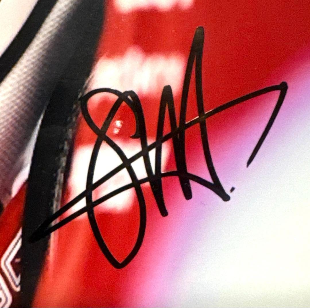 【超絶美品】セバスチャン・ベッテル 直筆サイン入り写真 2019年Ferrari