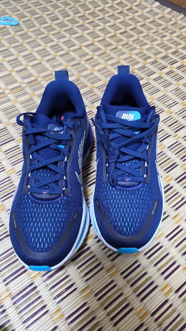 未使用品　Nike Vomero18 ボメロ メンズ 25.0cm