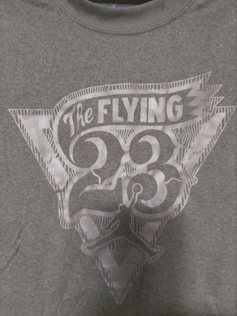 Nike JUMPMAN FLYING Tシャツ（528425-063）