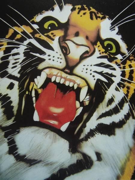 猫 ネコ ねこ cat 虎 トラ 寅 タイガー、絵画 油彩画 動物画、希少画集画
