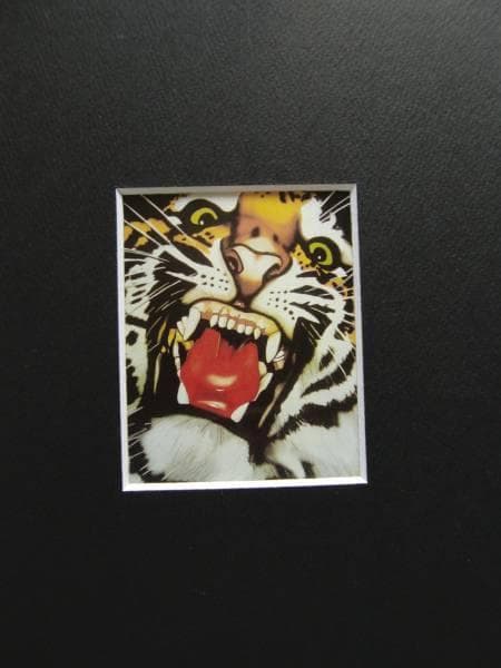 猫 ネコ ねこ cat 虎 トラ 寅 タイガー、絵画 油彩画 動物画、希少画集画
