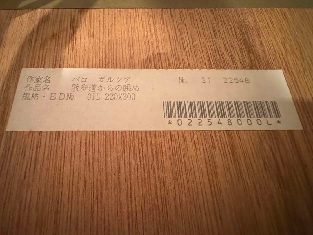 Paco Garcia Original Painting 散歩道からの眺め