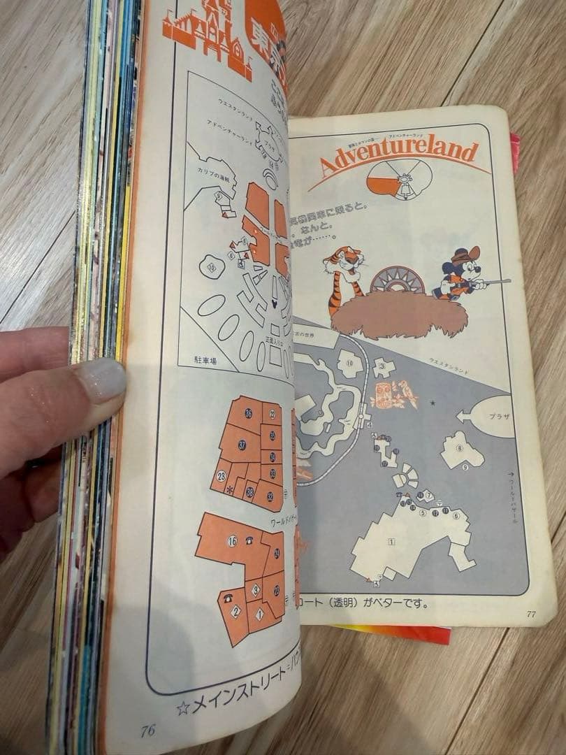 レア　昭和　ディズニーランド大図鑑　 ポストカード