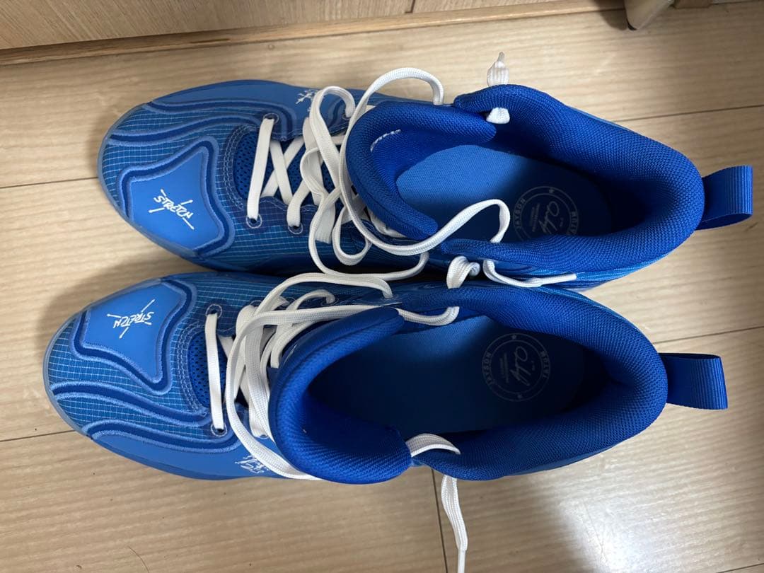 シューズ(男性用) NIKE TATUM3 29cm