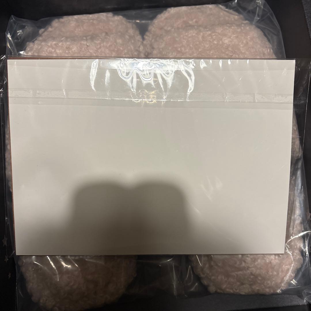 Siip ガイア 【完全生産限定版】グッズ