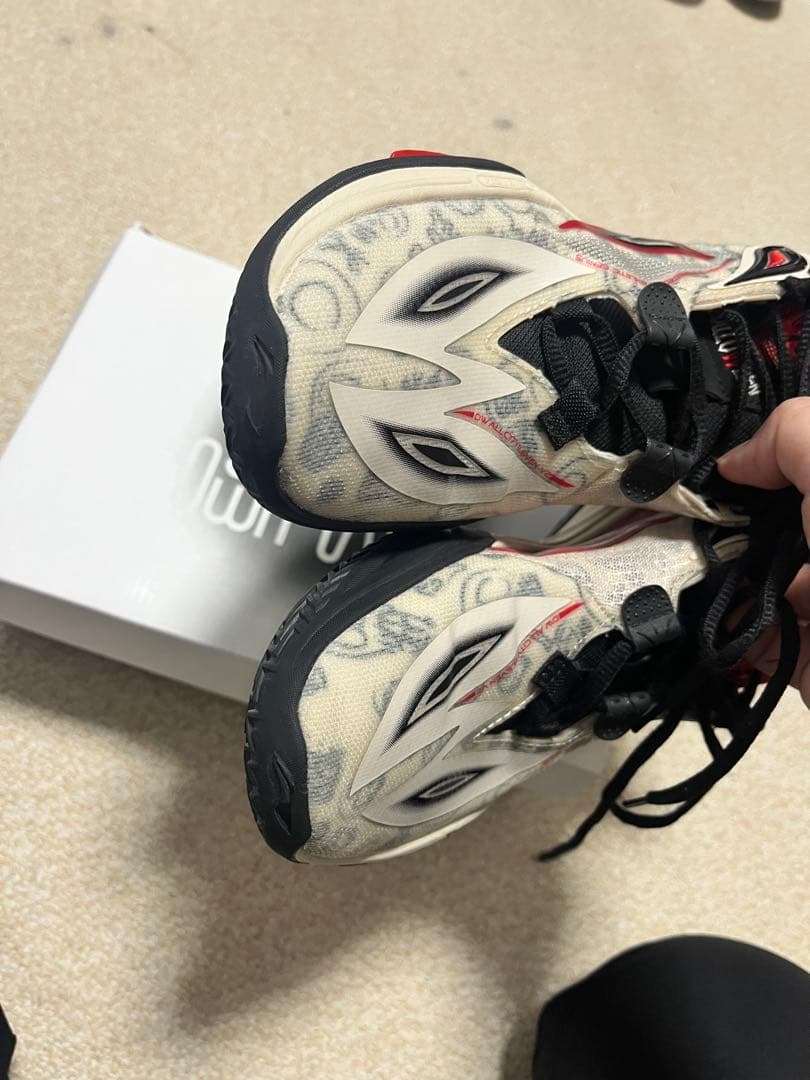 Wade all city 11 V2 バスケ　バッシュ　23.5センチ