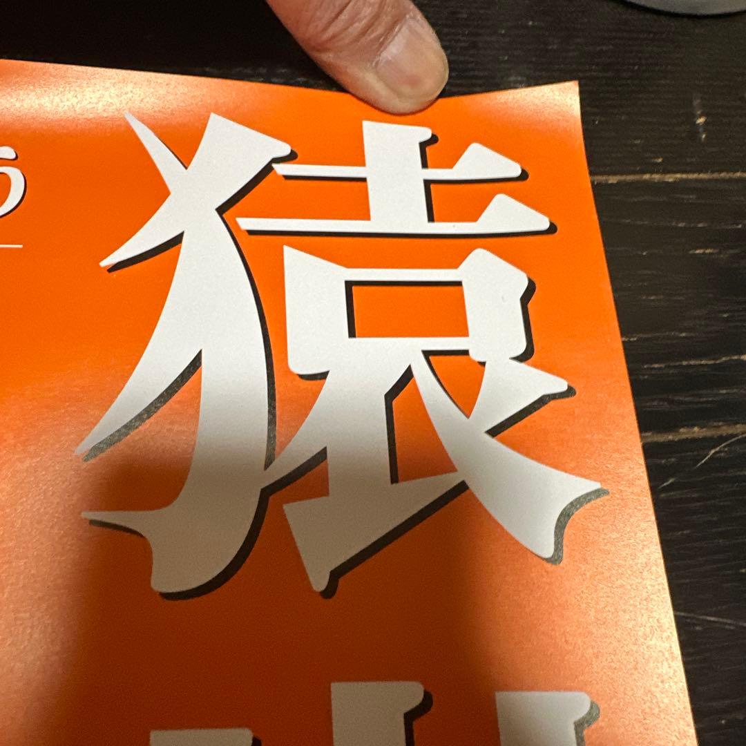 新品　未使用　猿岩石　白い雲のように　ポスター　電波少年　有吉弘行