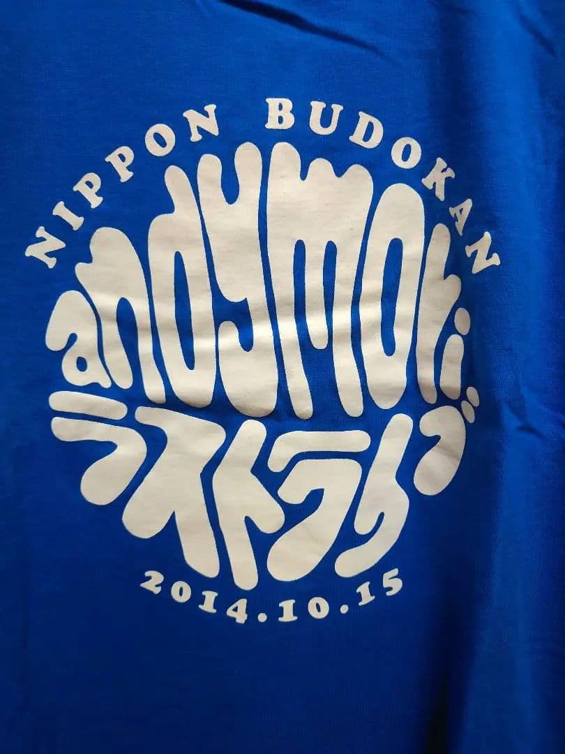 andymori　ラストライブ　Tシャツ　ユースレコーズ